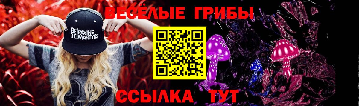 Галлюциногенные грибы Psilocybe Грязи