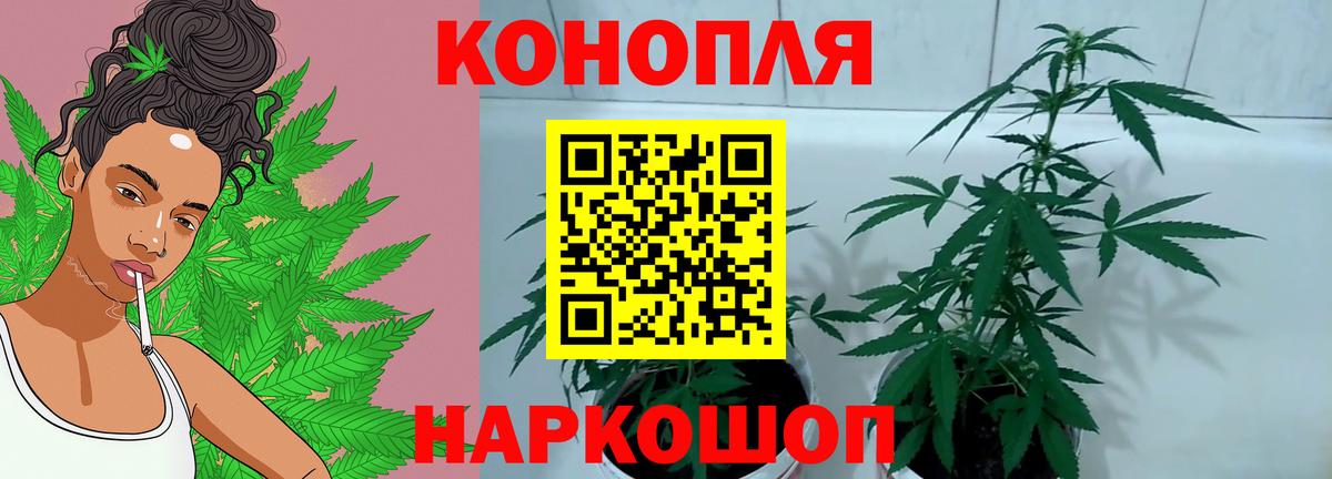 Каннабис OG Kush Грязи